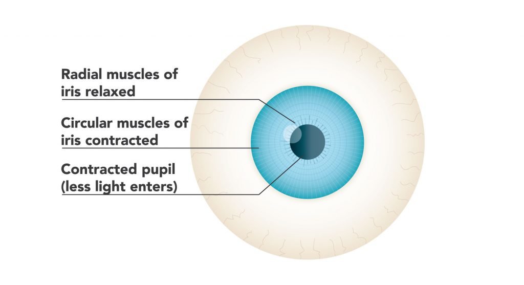 Laser Eye Surgery Operations