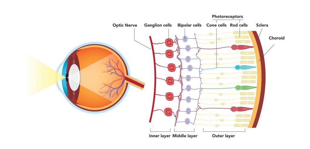 Laser Eye Surgery Operations