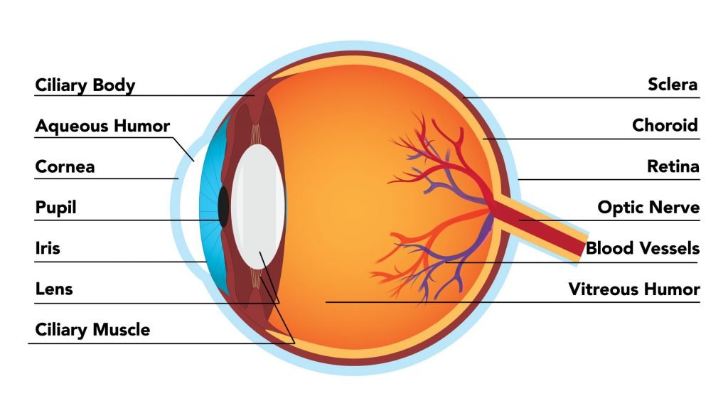 Cataract Operations